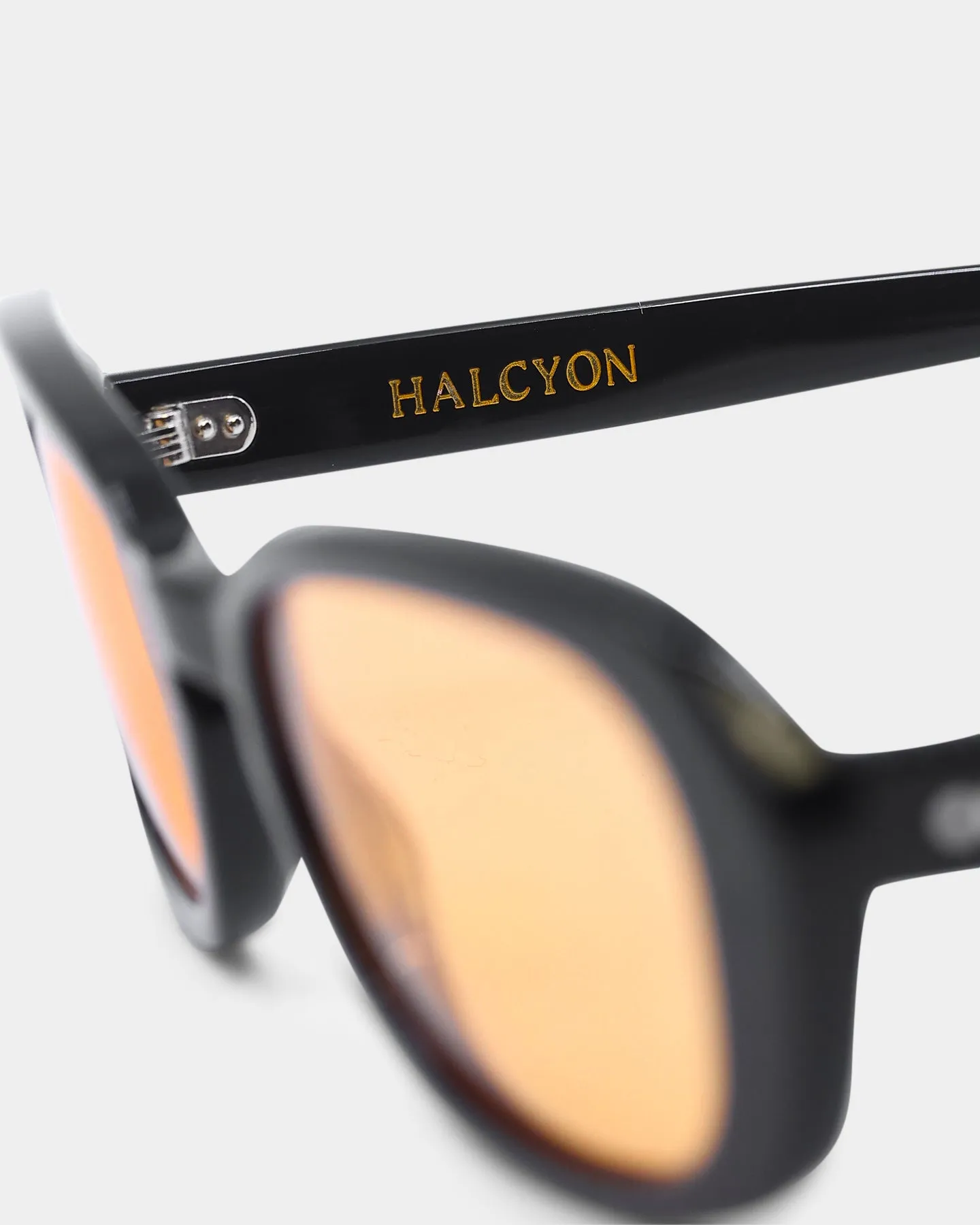 Halcyon Eyewear Lenny Sunglasses Black