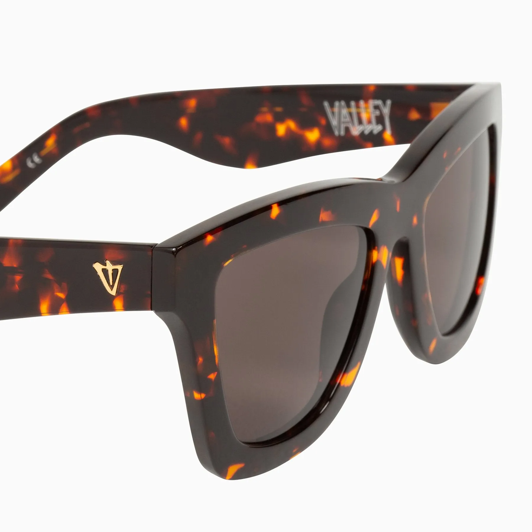 Polarized DB / Dark Tort / Brown Lens